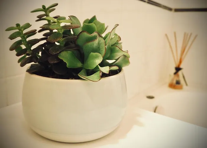 Dame 4 Apartment Bologna