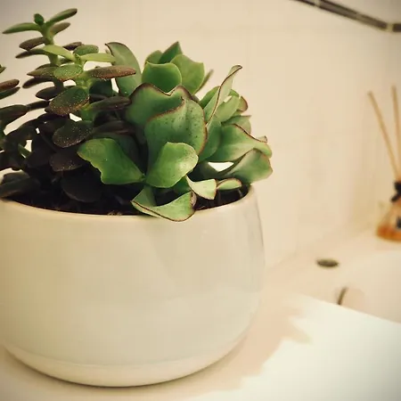 Dame 4 Διαμέρισμα Μπολόνια