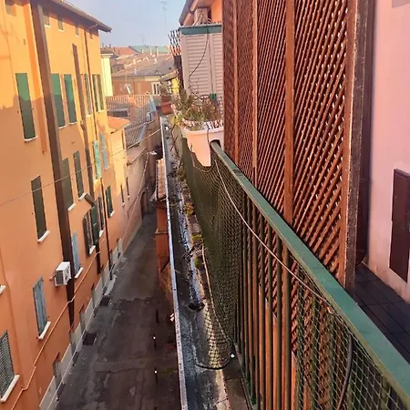 Apartment Dame 4 *